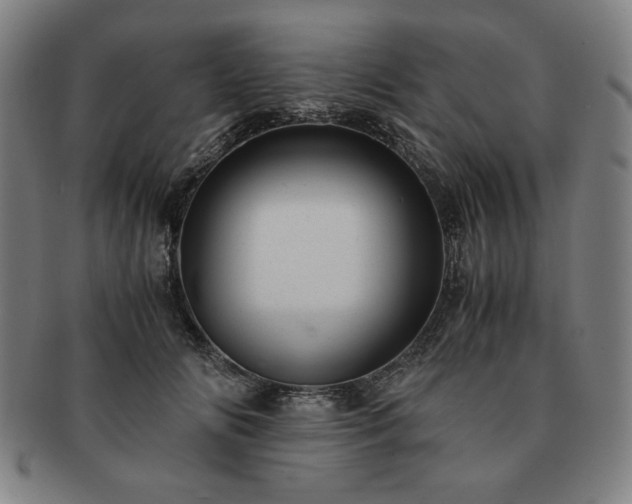 X0000091450702200708231255