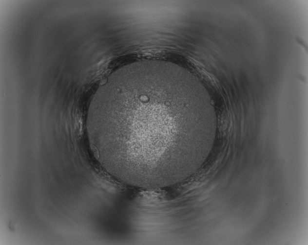 X0000091450703200708231255