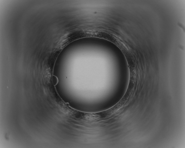 X0000091450707200708231255