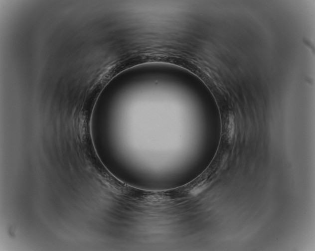 X0000091450708200708231255
