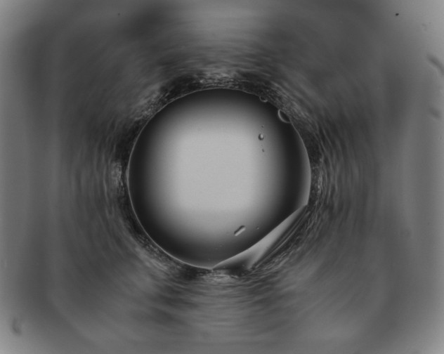 X0000091450711200708231255