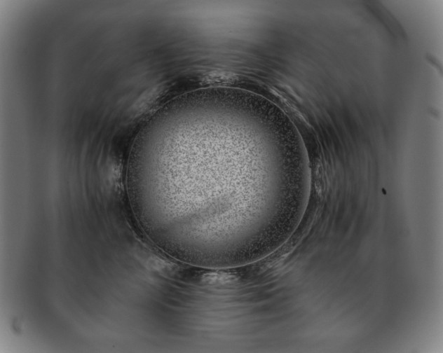 X0000091450714200708231255