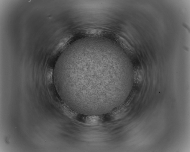 X0000091450717200708231255