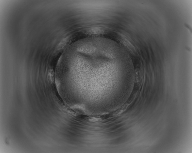 X0000091450718200708231255