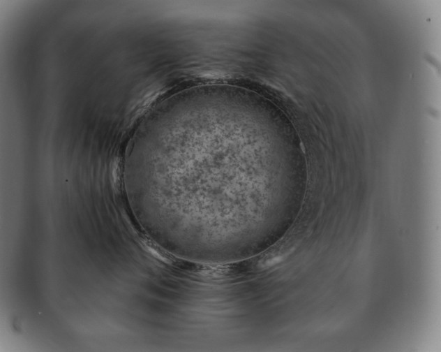 X0000091450720200708231255