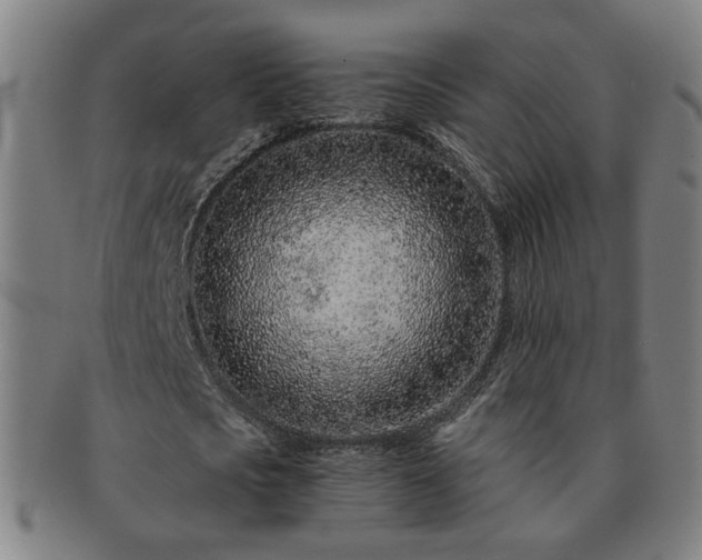 X0000091450721200708231254