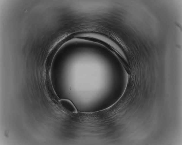 X0000091450722200708231254