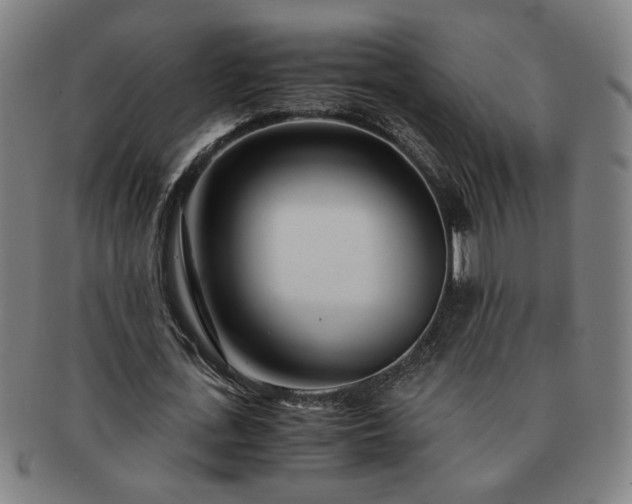 X0000091450723200708231254