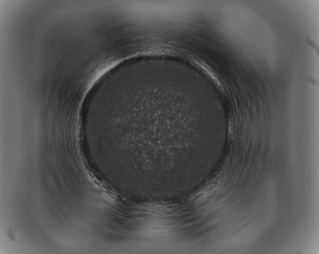 X0000091450724200708231254