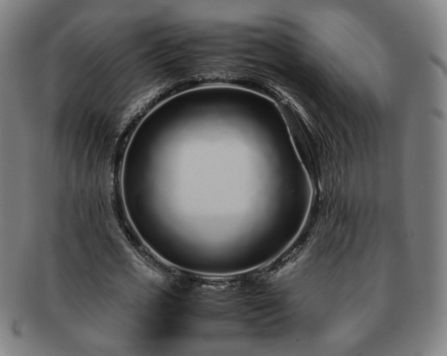 X0000091450725200708231254