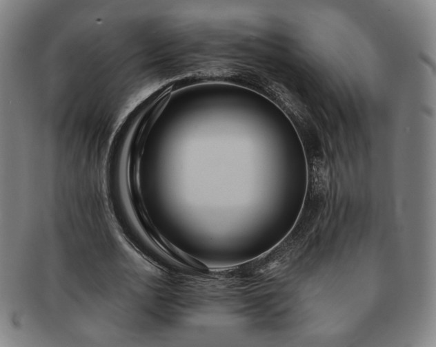 X0000091450726200708231254