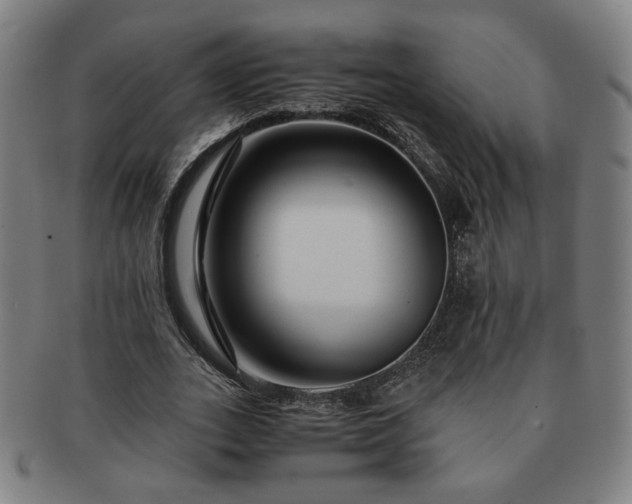 X0000091450727200708231254