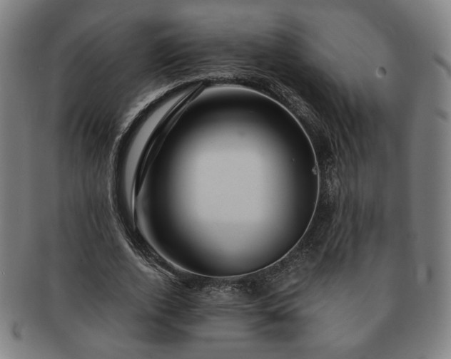 X0000091450728200708231254