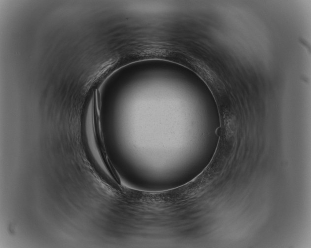 X0000091450729200708231254
