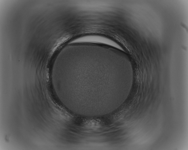 X0000091450731200708231254