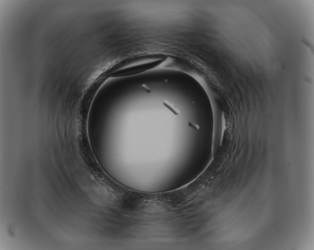 X0000091450732200708231254