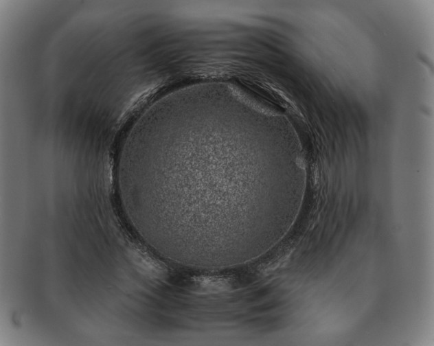 X0000091450733200708231254