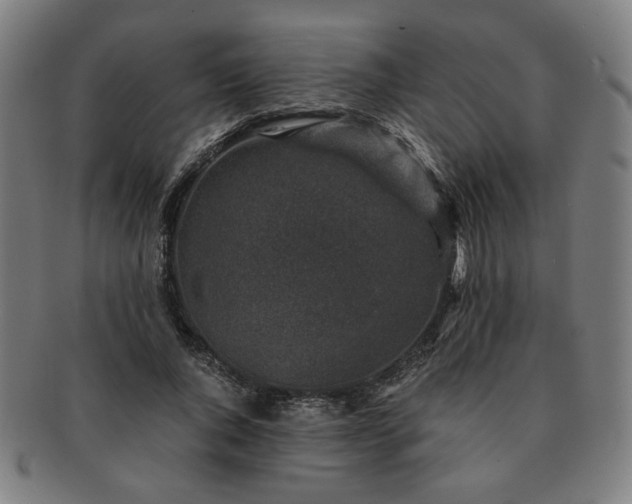 X0000091450736200708231254