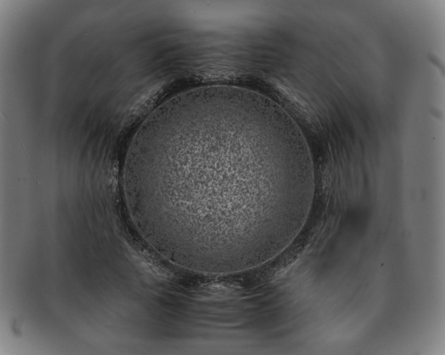 X0000091450737200708231254