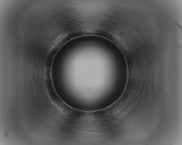 X0000091450738200708231254