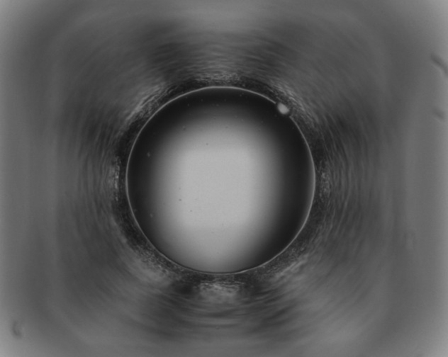 X0000091450739200708231254