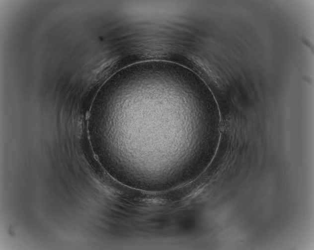 X0000091450741200708231254
