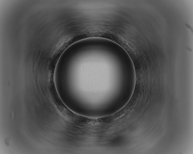 X0000091450742200708231254