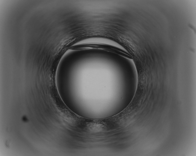 X0000091450743200708231254