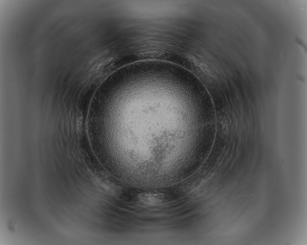 X0000091450745200708231254