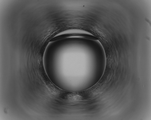 X0000091450747200708231254
