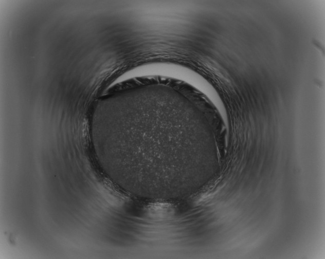 X0000091450748200708231254
