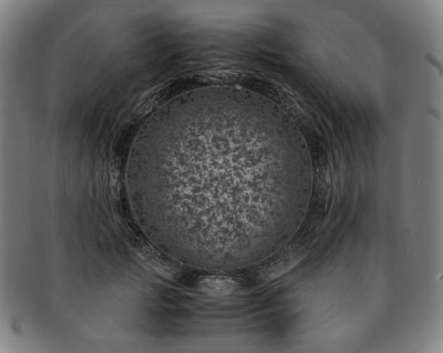 X0000091450749200708231254