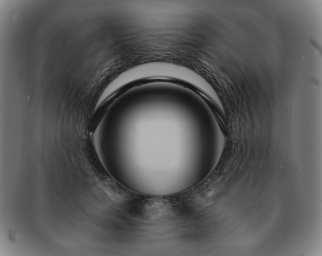 X0000091450750200708231254