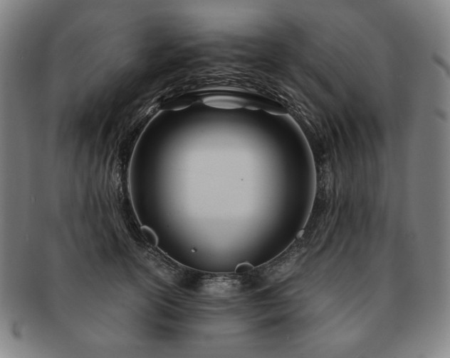 X0000091450754200708231255