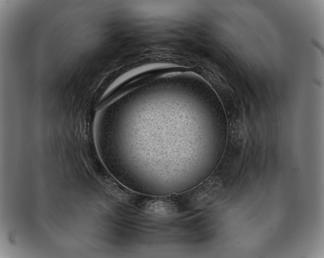 X0000091450755200708231255