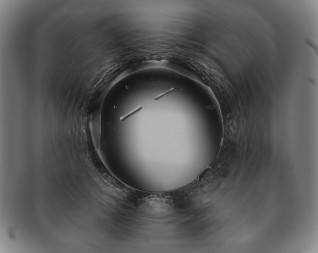 X0000091450756200708231255