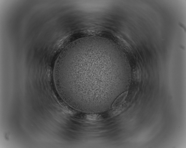X0000091450757200708231255