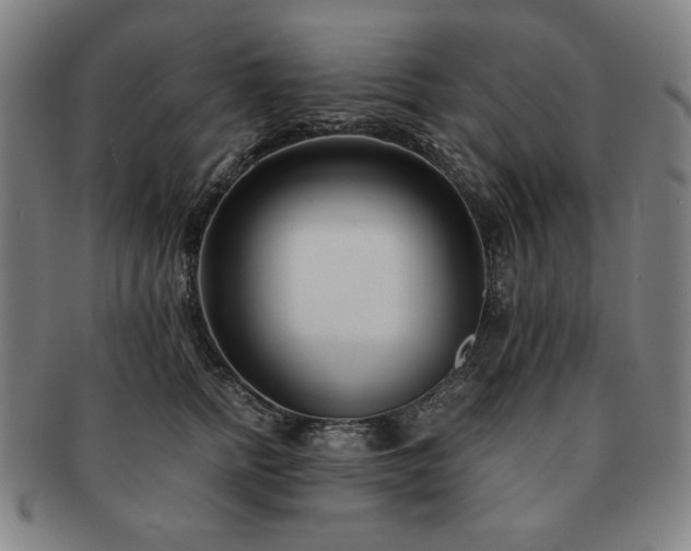 X0000091450758200708231255