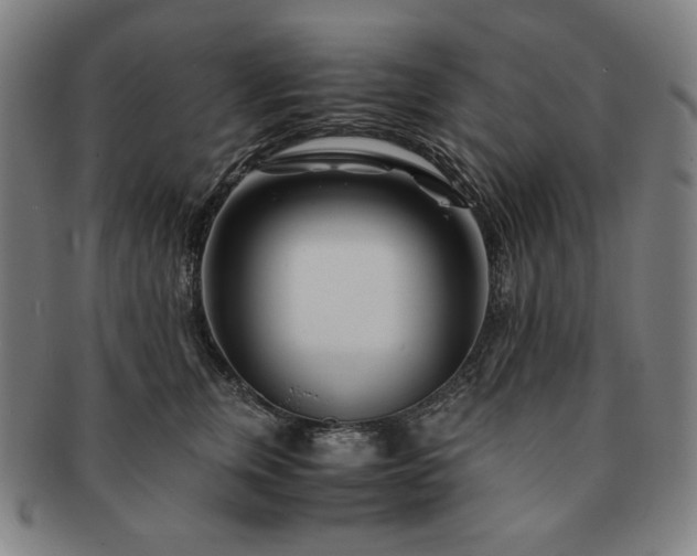 X0000091450759200708231255