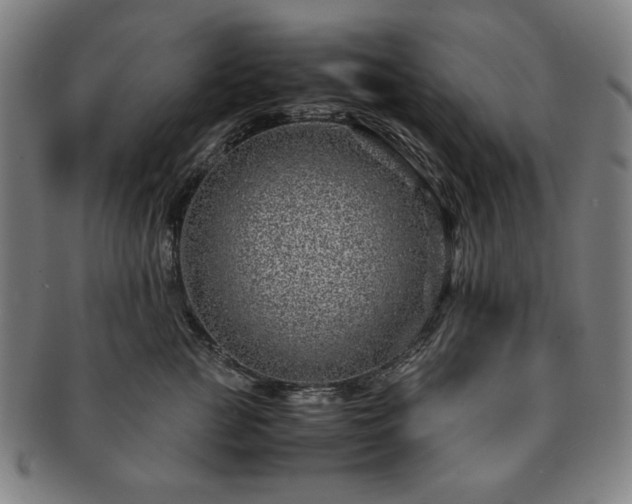 X0000091450761200708231255