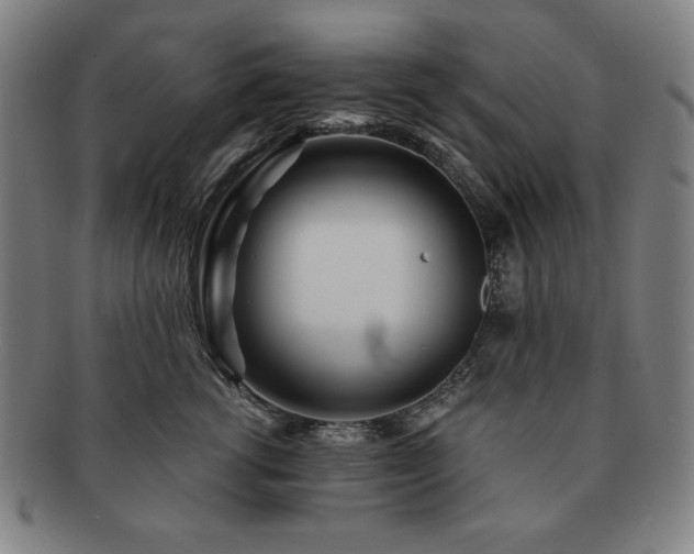 X0000091450762200708231255