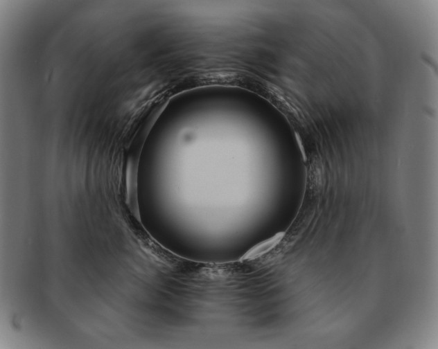 X0000091450764200708231255