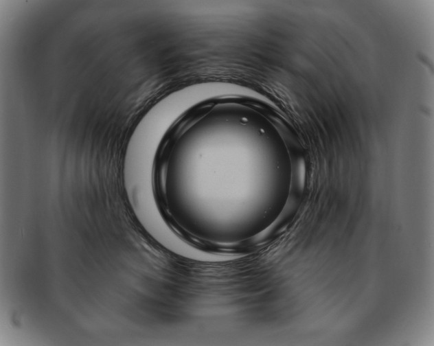 X0000091450766200708231255