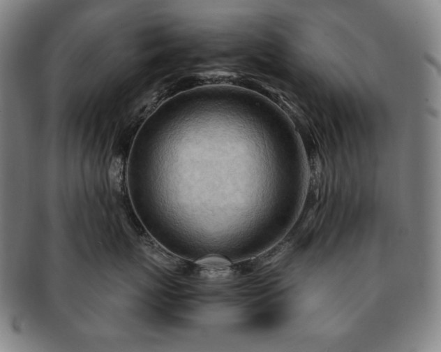 X0000091450767200708231255
