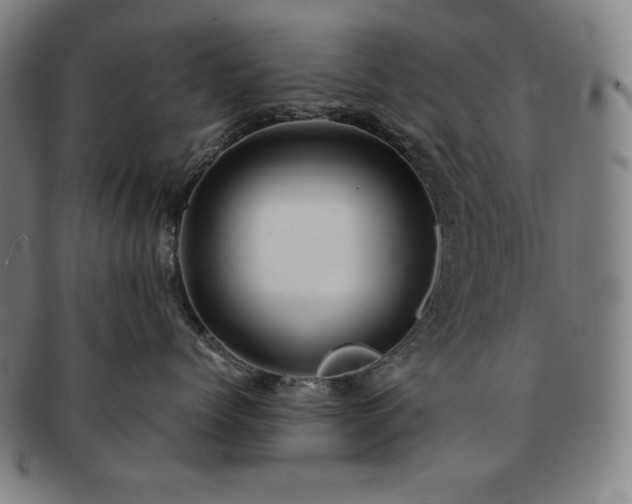 X0000091450768200708231255