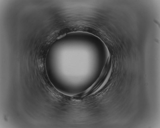 X0000091450771200708231254