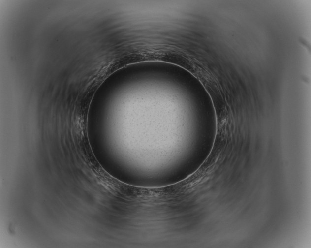 X0000091450772200708231254