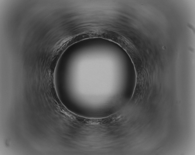X0000091450773200708231254