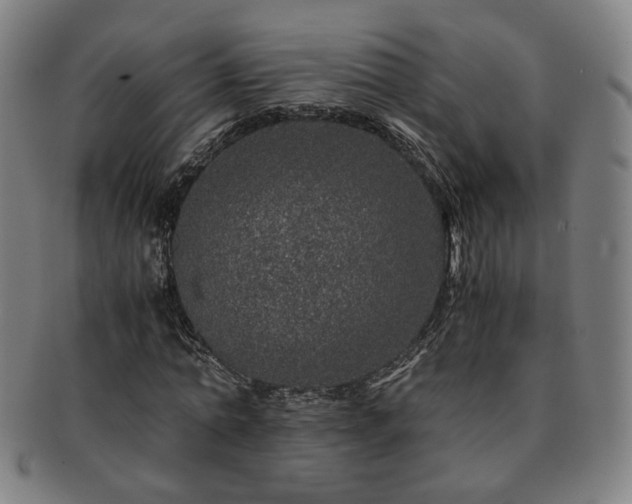 X0000091450774200708231254