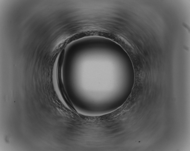 X0000091450775200708231254